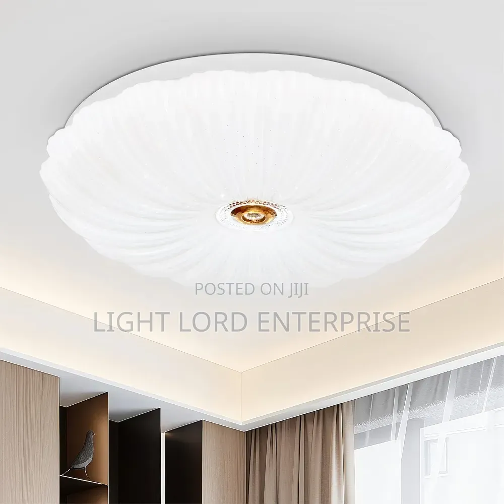 XFXX-max Nice 3color Ceiling Light