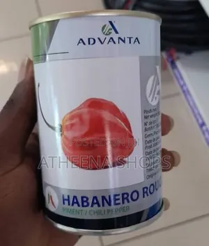Hot Habanero Pepper Seeds (50 Grams)