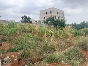 Do You Need a 4 Plots of Land for Sale at Trasacco Springs