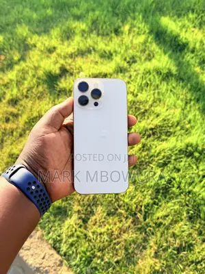 Apple iPhone 16 Pro Max 256 GB Gold