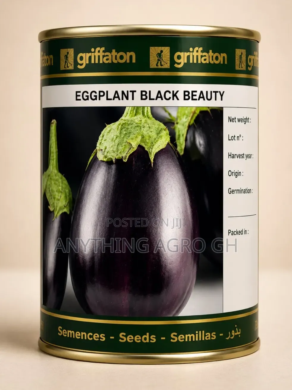 Eggplant Black Beauty