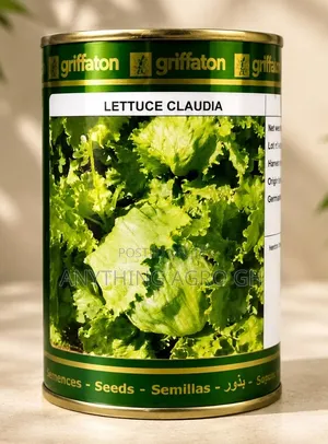 Lettuce Claudia
