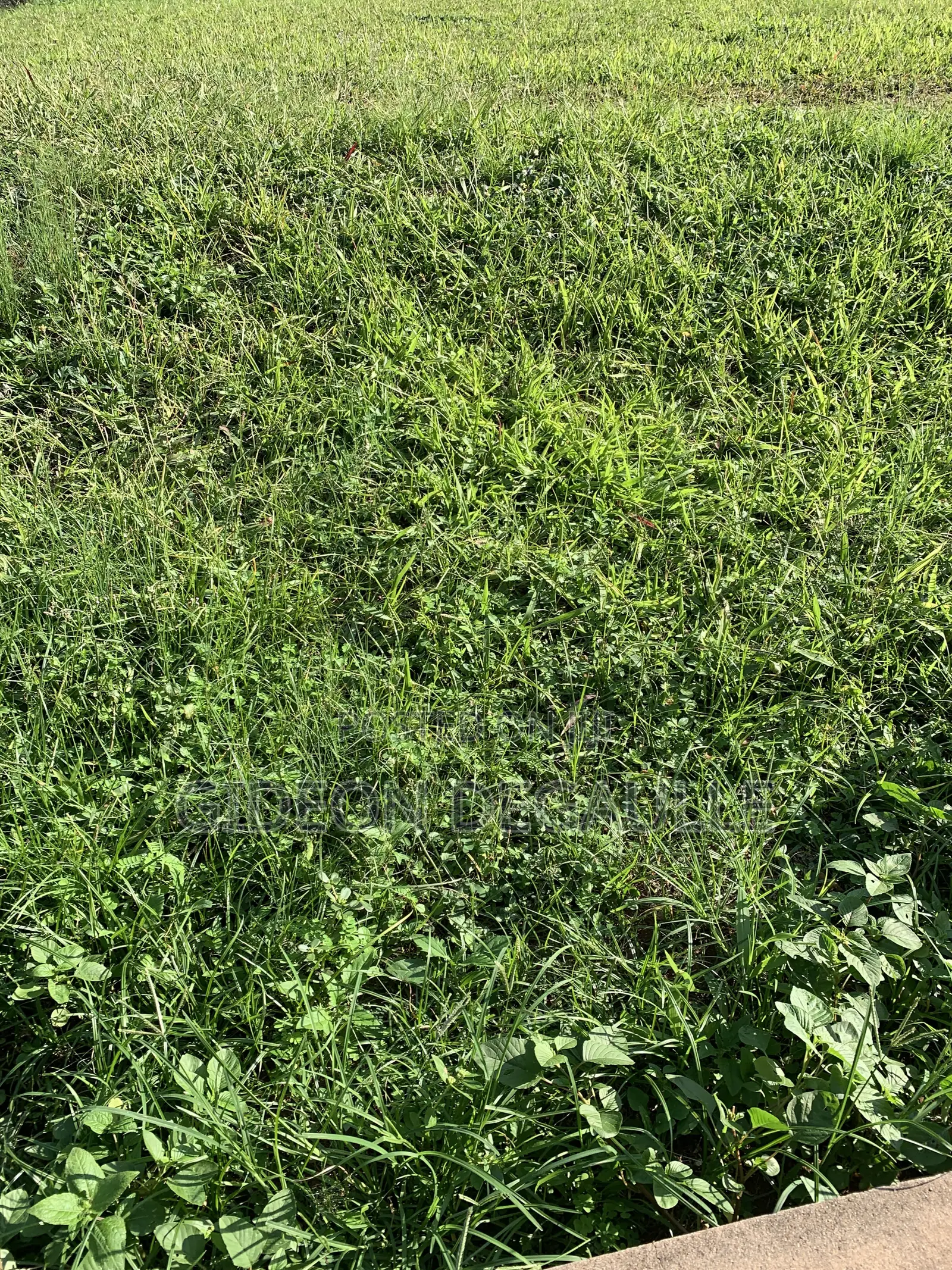RANS REAL ESTATE |18 Acres | Land for Sale
