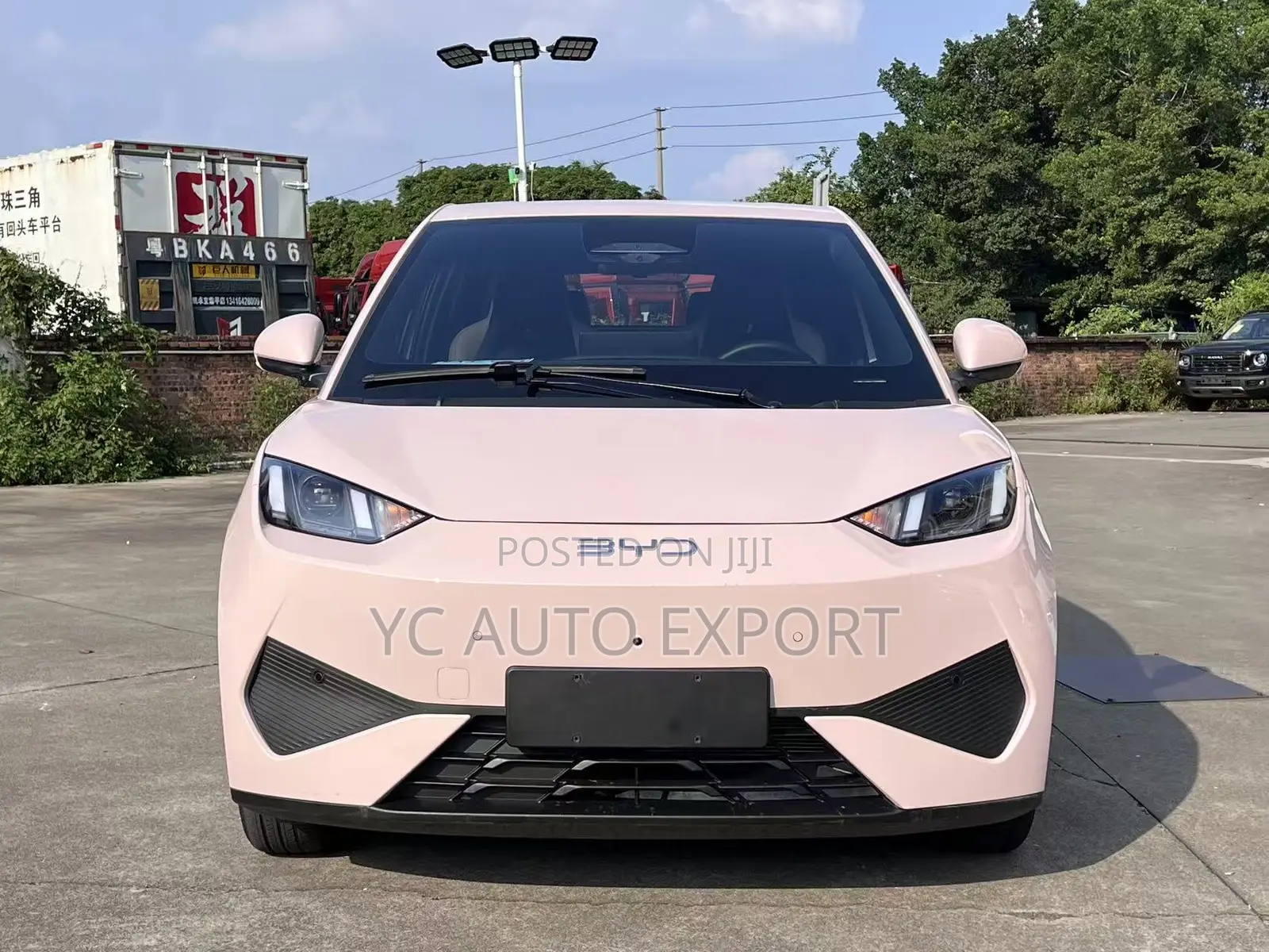 BYD Seagull 2025 Pink