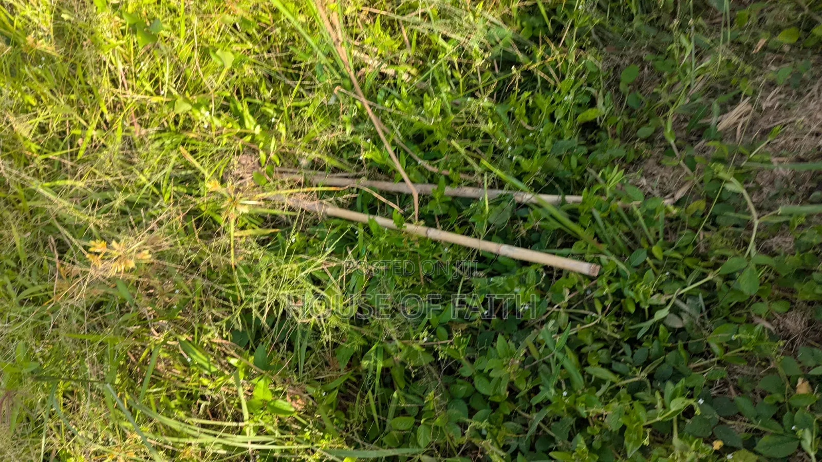 Plots of Land for Sale