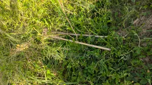 Plots of Land for Sale