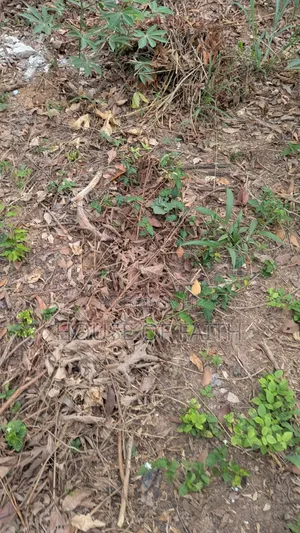 Plots of Land for Sale