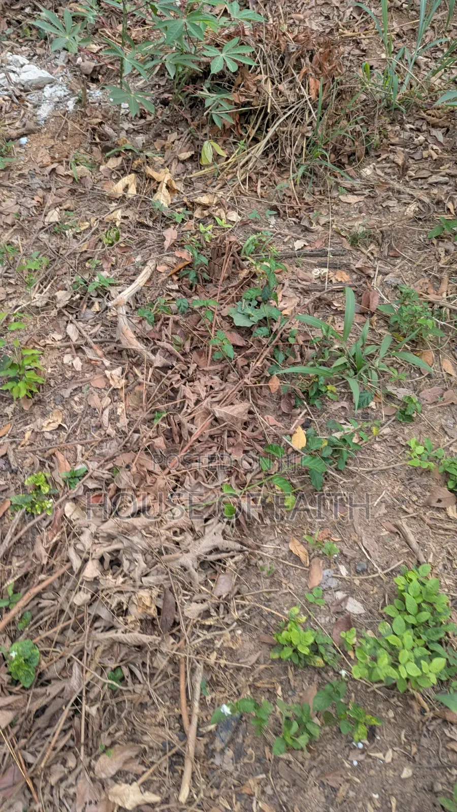 Plots of Land for Sale