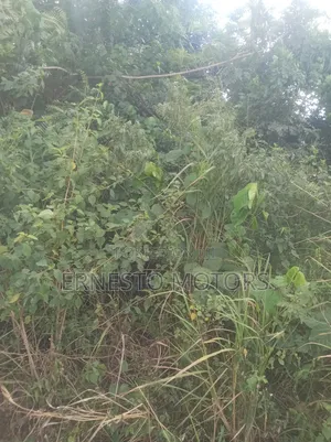 1 Plot of Land for Sale