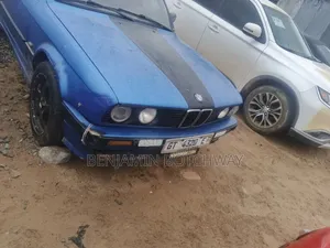 BMW 3 Series 1991 Blue