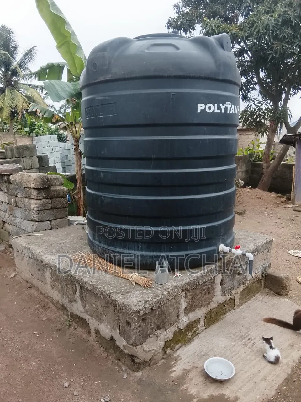 Tank and Water Reservoir Cleaner