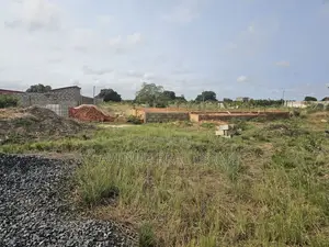 High-Return Real Estate Acreage in Alpha Mini