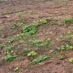 Own Land in a Fast-Growing Location