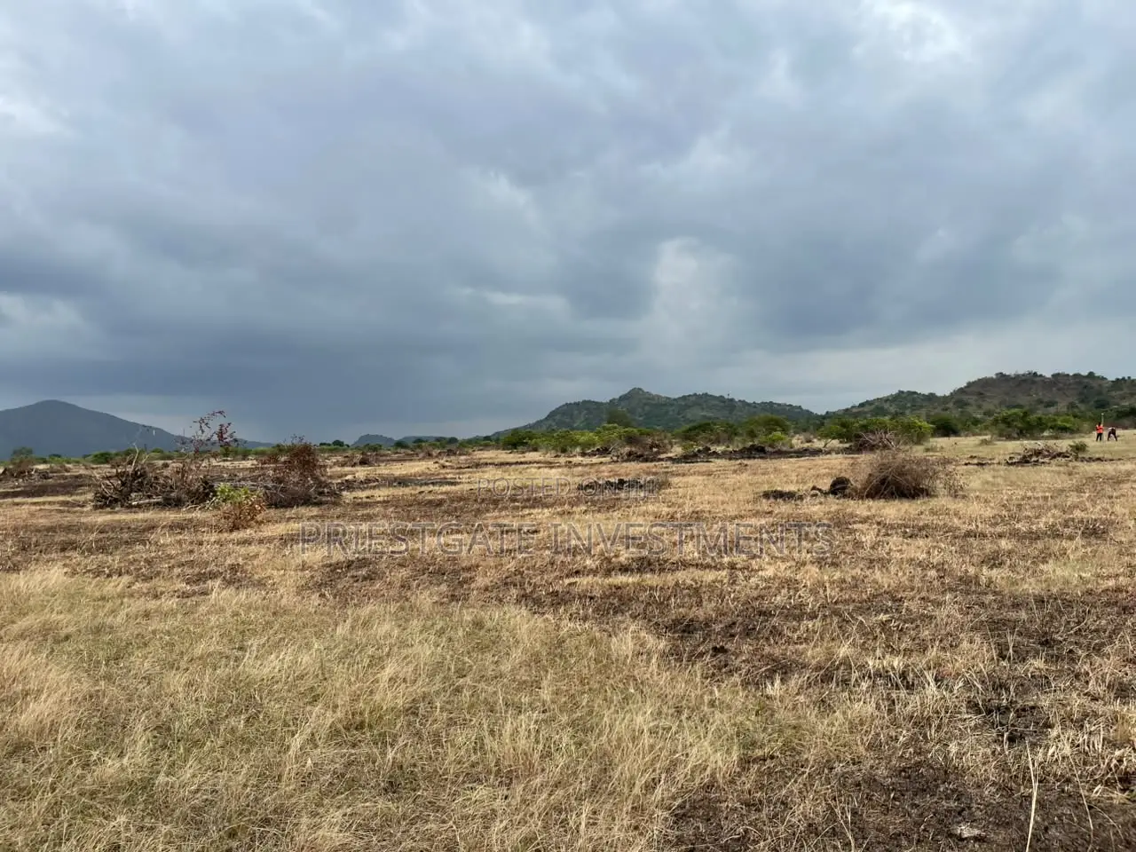 Exclusive Land Opportunity at Tsopoli – Buy Now