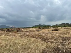 Exclusive Land Opportunity at Tsopoli – Buy Now