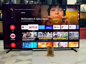 Panasonic 55inches