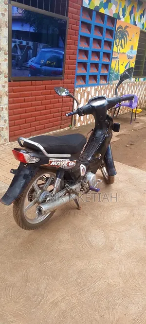 Luojia 110cc 2023 Black