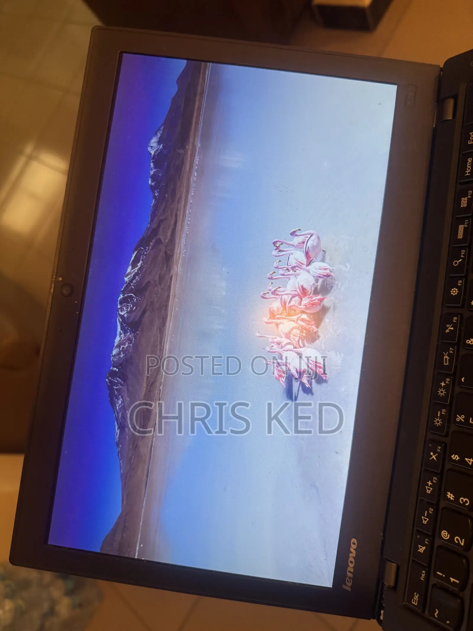 Laptop Lenovo ThinkPad X240 4GB Intel Core i5 HDD 512GB