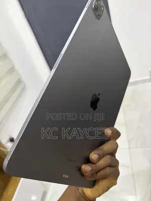 Apple iPad Pro 512 GB Gray