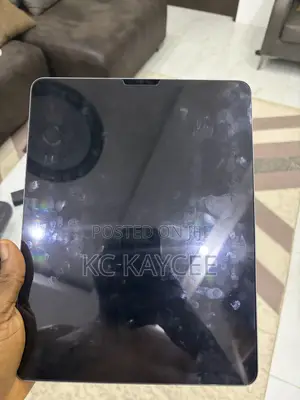 Apple iPad Pro 512 GB Gray