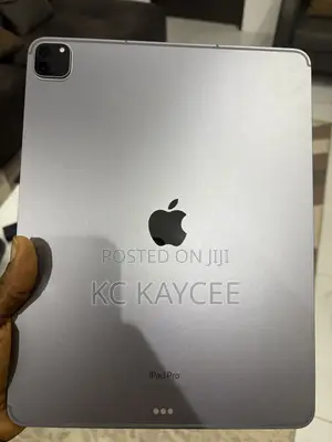 Apple iPad Pro 512 GB Gray