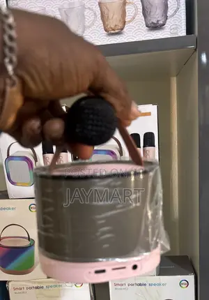 Smart Portable Speaker With a Microphone