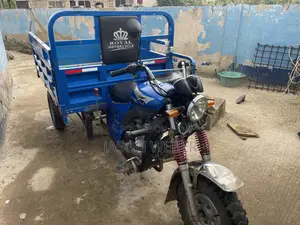 Tricycle 2025 Blue
