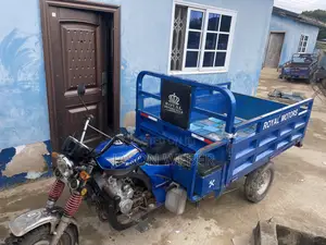 Tricycle 2025 Blue