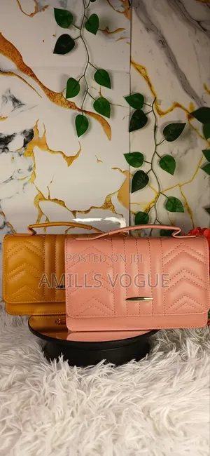 Ladies Bag
