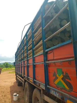 Treated Light Poles
