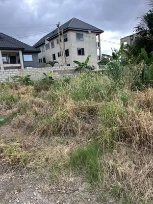 Full Plot of Land