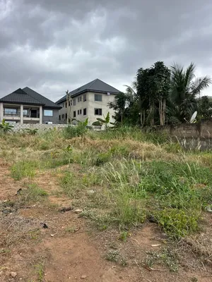 Full Plot of Land