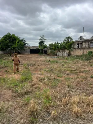 Full Plot of Land