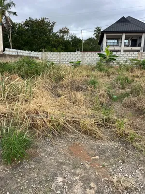 Full Plot of Land