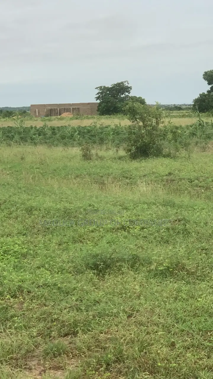 Hot Deal! Cheap Registered Lands at Sege - No Agent Wahala