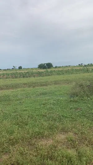 Hot Deal! Cheap Registered Lands at Sege - No Agent Wahala