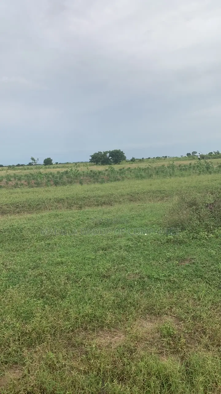 Hot Deal! Cheap Registered Lands at Sege - No Agent Wahala