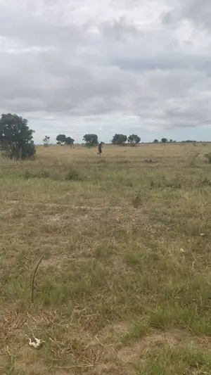Invest in Sege Now! Titled Lands for Sale - Best Price
