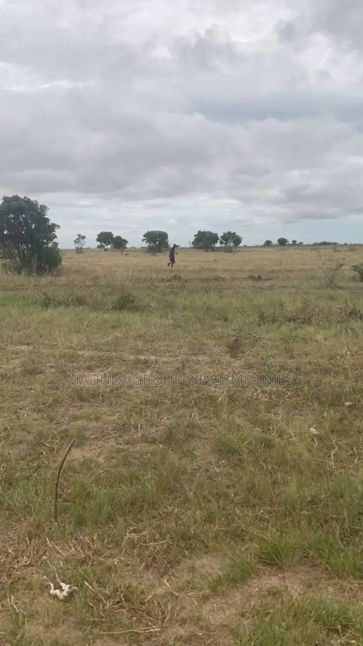 Invest in Sege Now! Titled Lands for Sale - Best Price