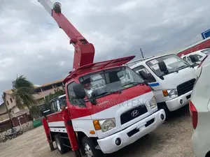 Man Lift Truck