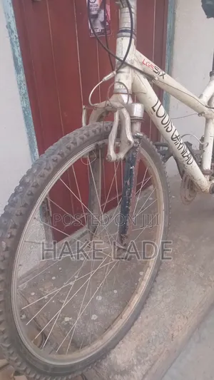 Bicycle Jungle Type
