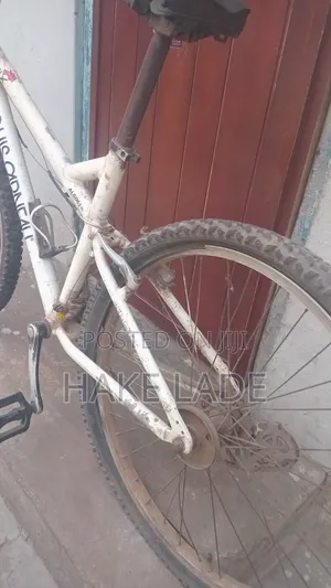 Bicycle Jungle Type