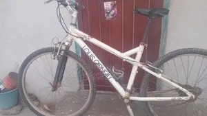 Bicycle Jungle Type