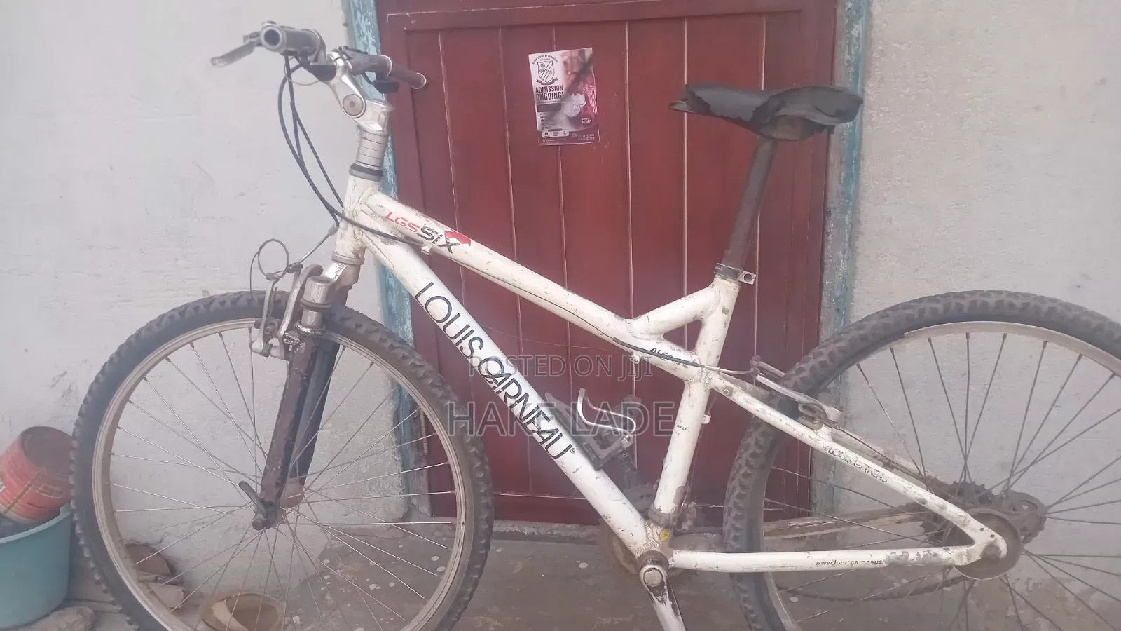 Bicycle Jungle Type
