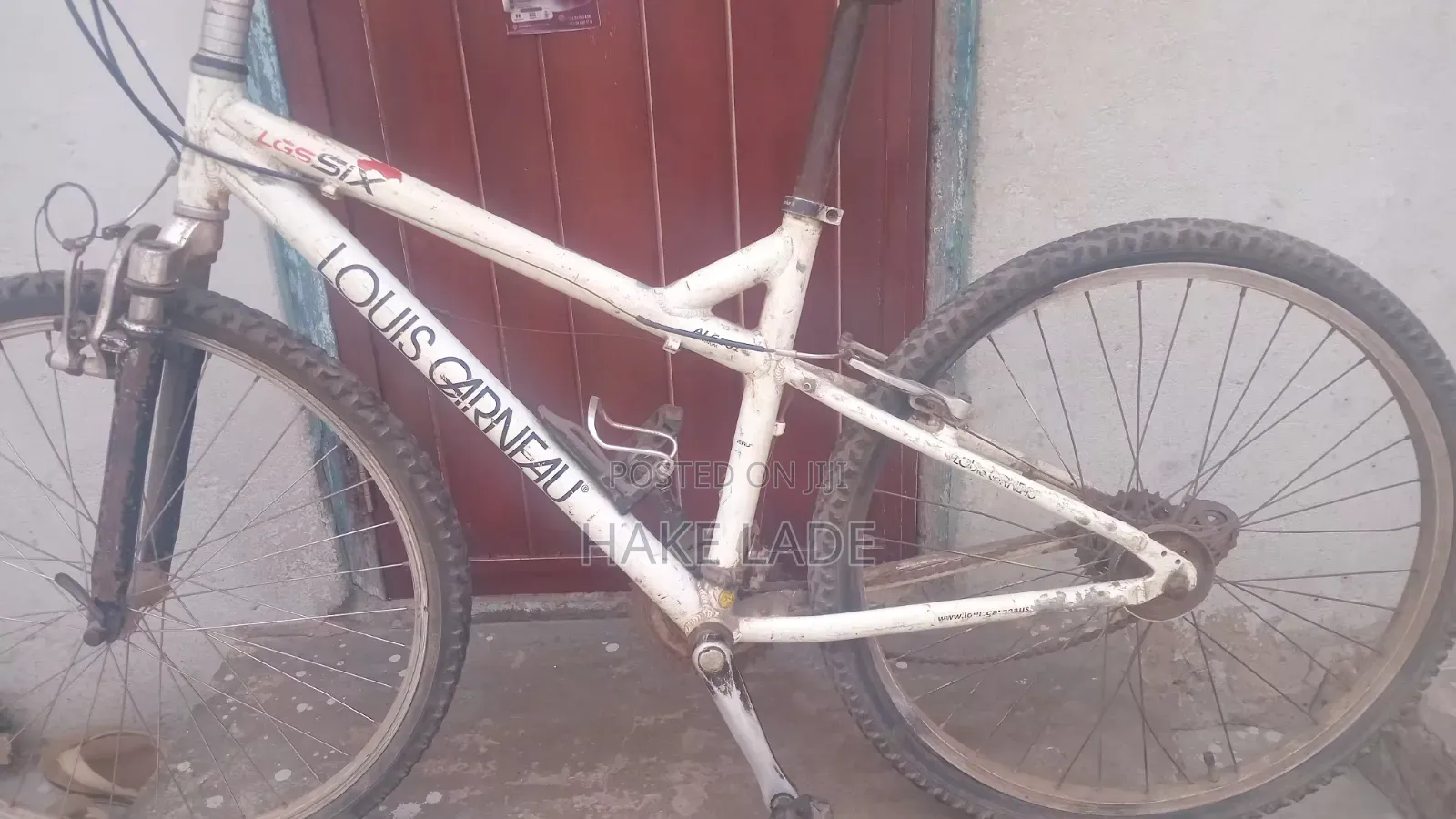 Bicycle Jungle Type
