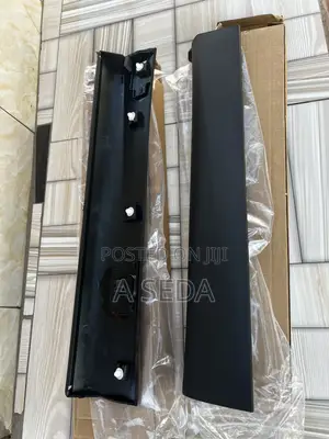 Mitsubishi Outlander Door Moulding 2023 2024 2025