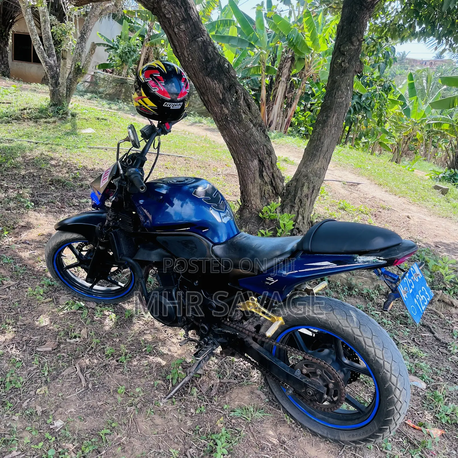 Kawasaki EX250 2025 Blue