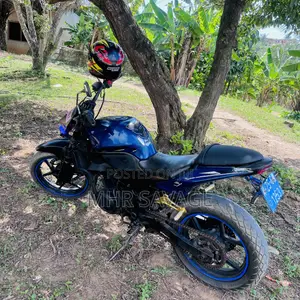 Kawasaki EX250 2025 Blue