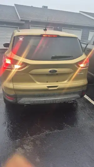 Ford Escape 2014 Gold