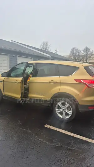 Ford Escape 2014 Gold